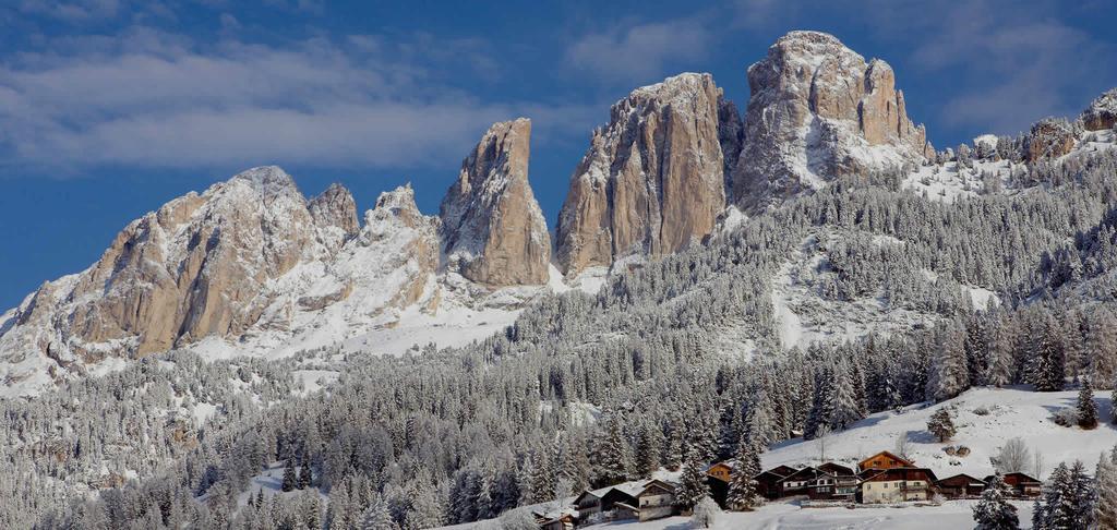 Appartamenti Ladina Campitello di Fassa Kültér fotó